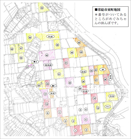 食品の分類別検査数と不検出・検出