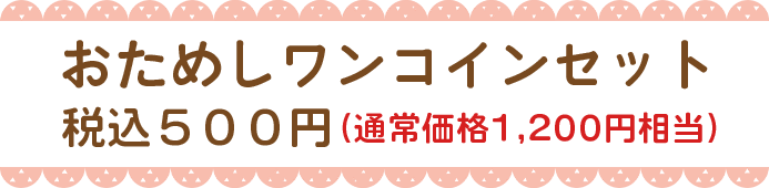 おためしワンコインセット