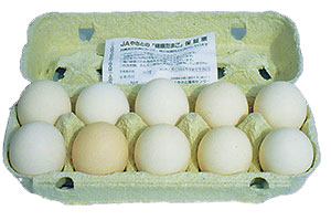 国産いわししょうゆ味 100g×2
