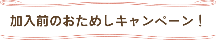 加入前のおためしキャンペーン!