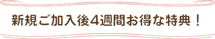 新規ご加入後４週間お得な特典！