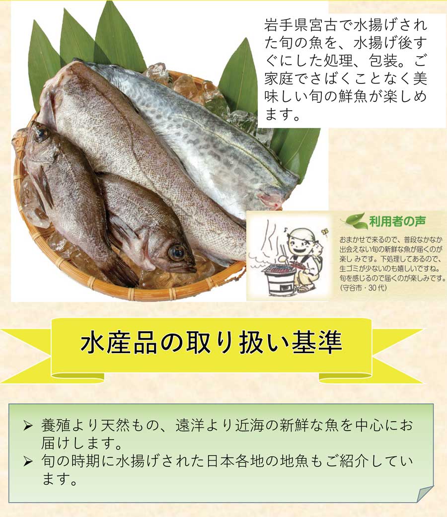 鮮魚セットについて