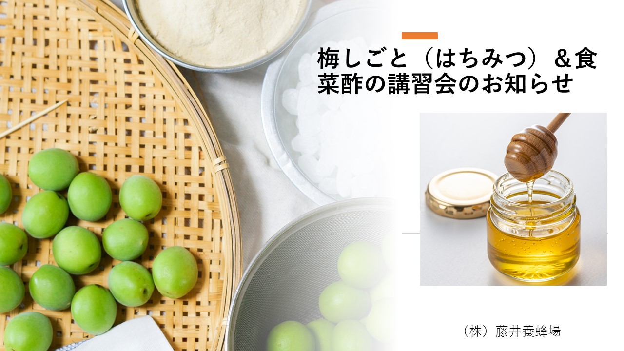 　梅しごと（はちみつ）＆食菜酢の講座・試食会のお知らせ　2025年5月31日(土)10:00～12:00