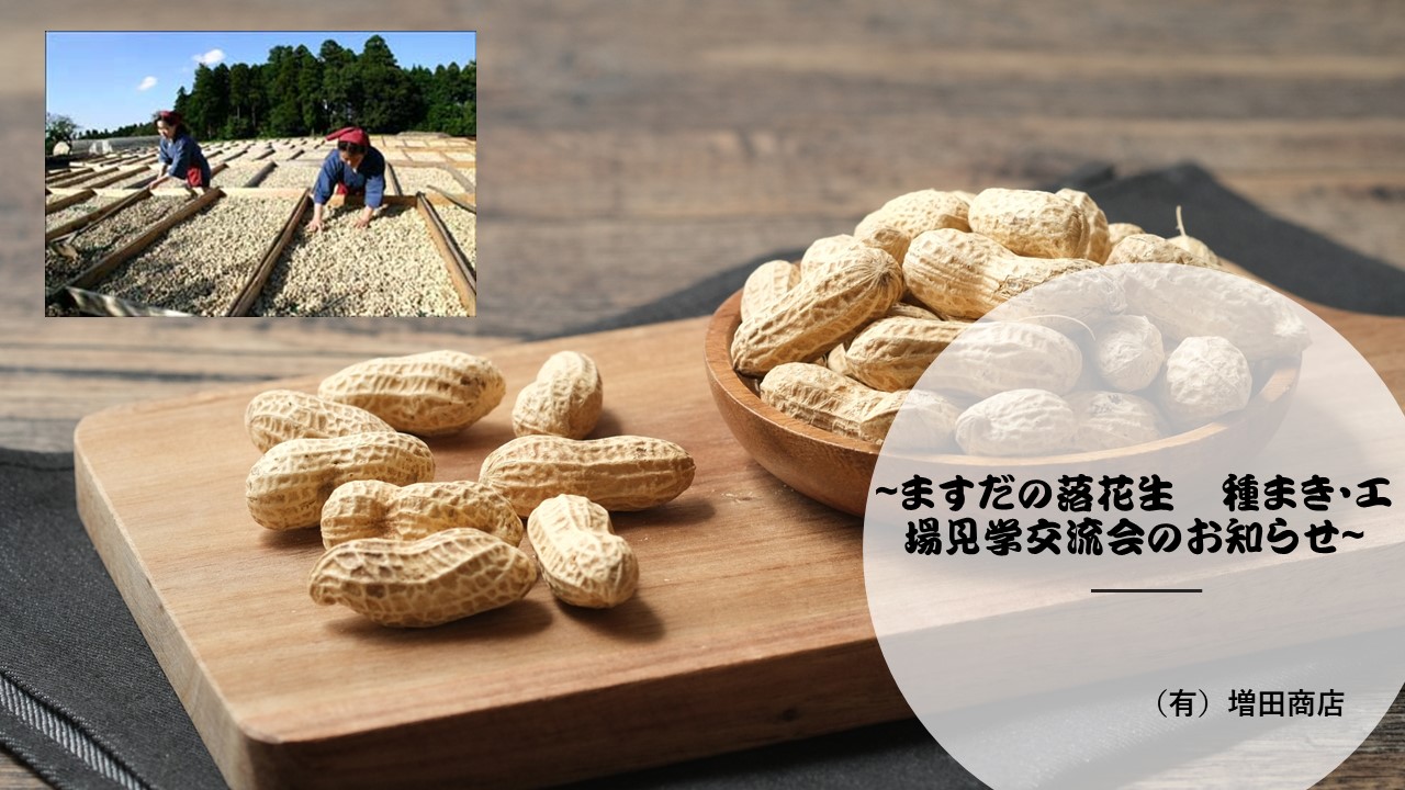 　ますだの落花生　種まき交流会のお知らせ　2025年5月24日(土)10:00～12:30