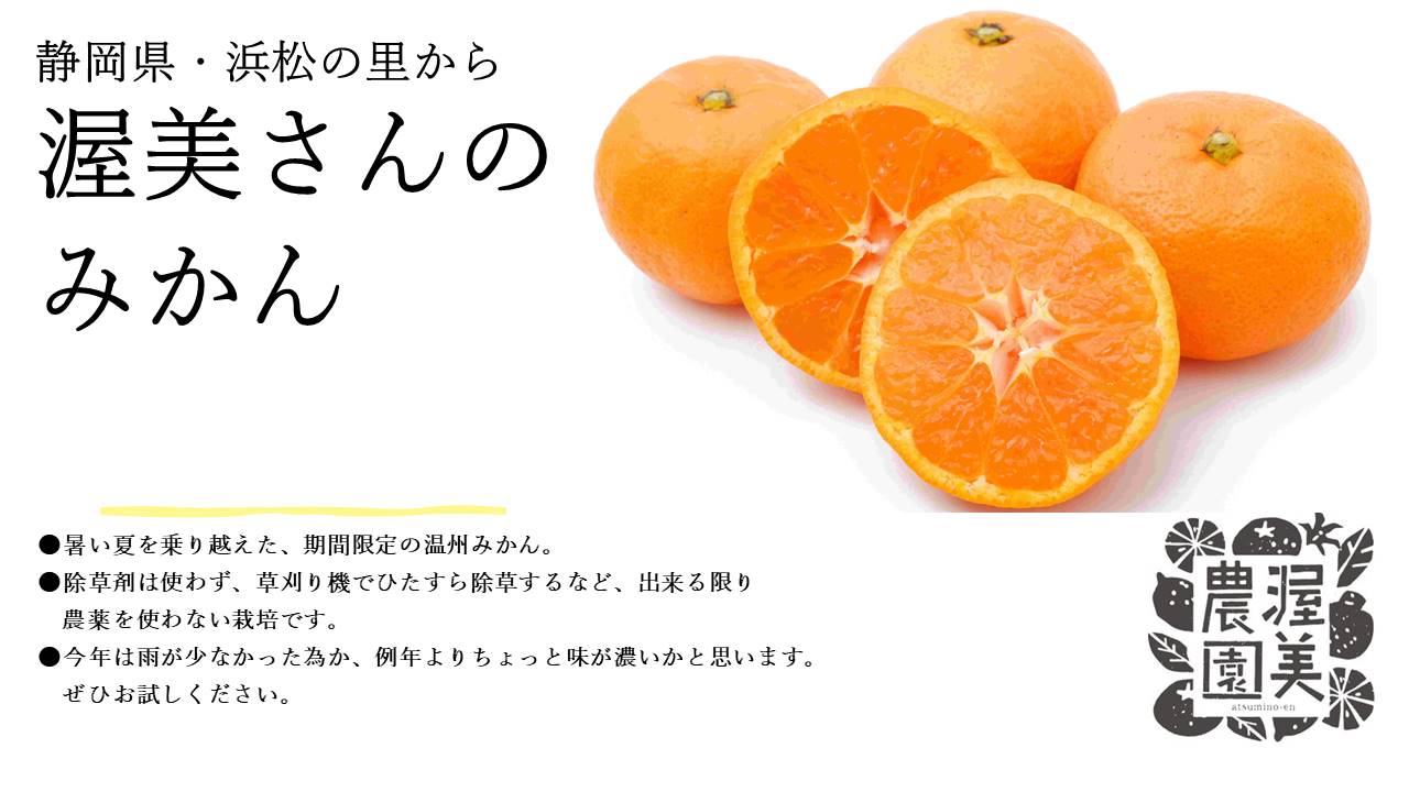 常総生活協同組合 » 2024年1月1回商品トピック