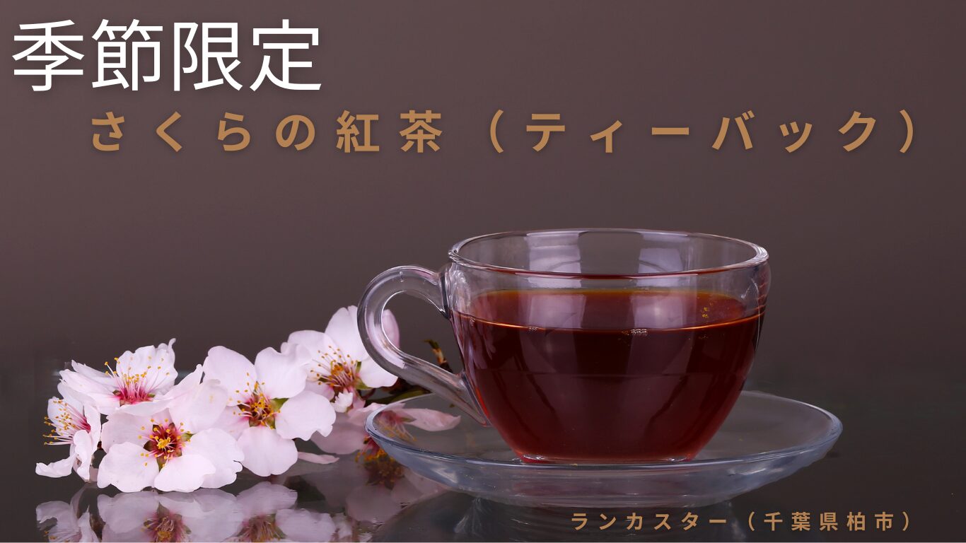 2025年3月4回商品トピック