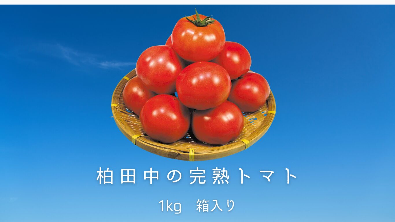 2025年4月5回商品トピック