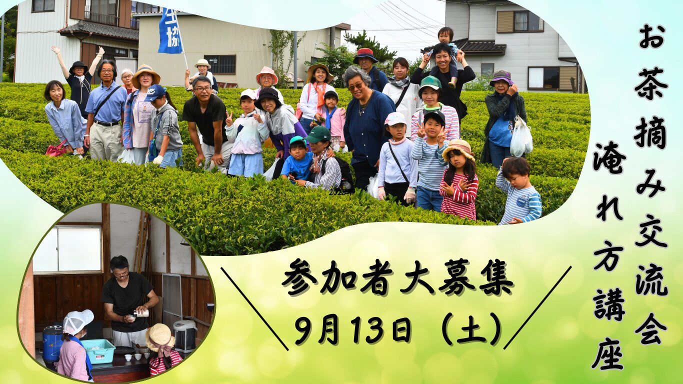 長治園　お茶摘み体験交流会・淹れ方講座のお知らせ　　　　　　　　　2025年9月13日(土)9:00～11:00（小雨決行）