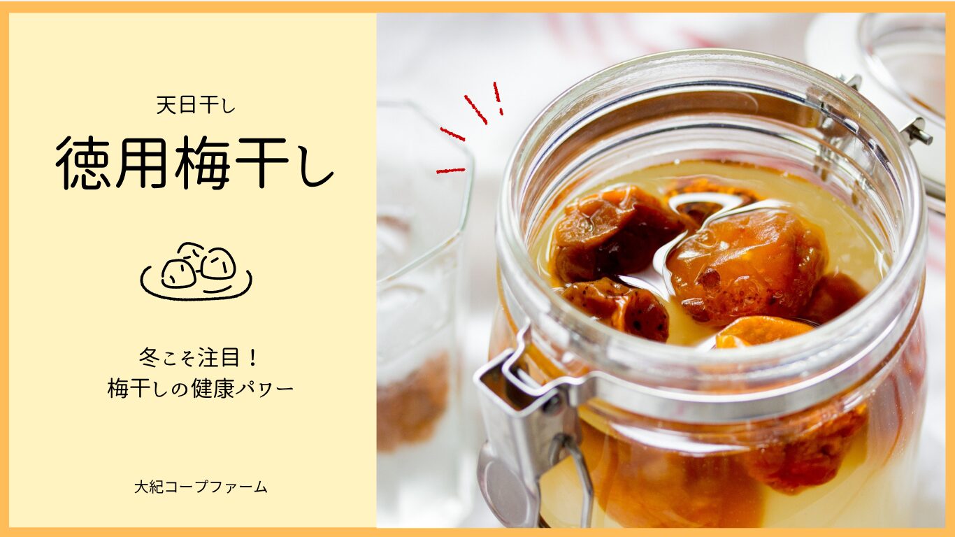 2025年12月1回商品トピック