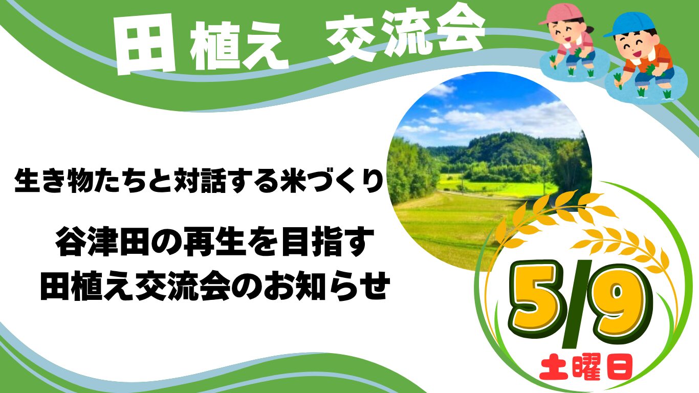 5/9(土)　生き物たちと対話する米づくり　　　　　　　　　谷津田の再生を目指す田植え交流会のお知らせ