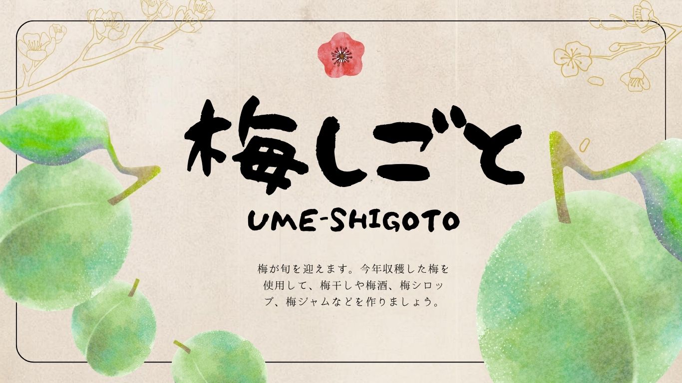 2026年5月2回商品トピック