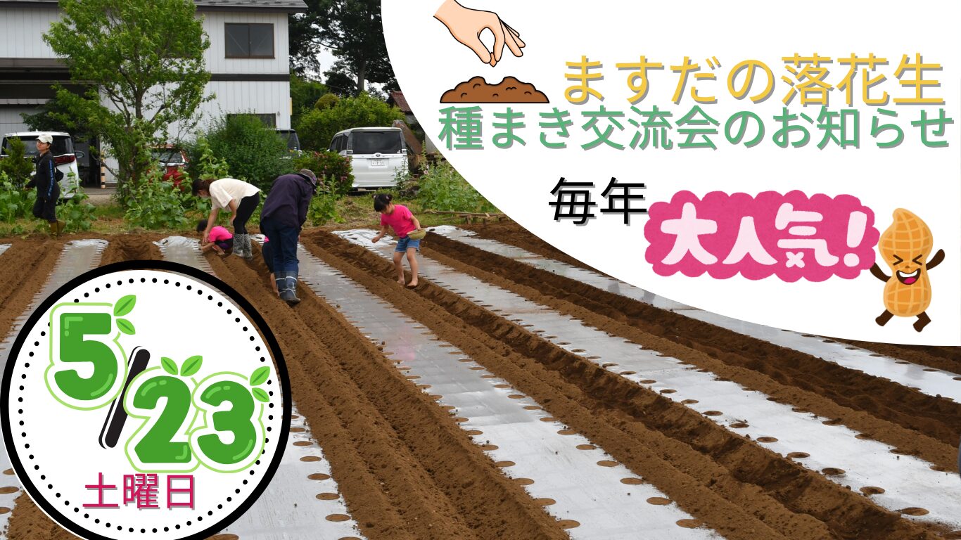 　ますだの落花生　種まき交流会のお知らせ　2026年5月23日(土)10:00～12:30