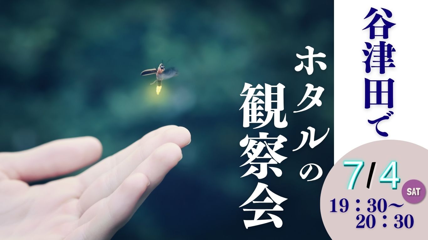 7/4(土)　生き物たちと対話する米づくり！第2段　　　　　　　　　谷津田でホタル観察会のお知らせ