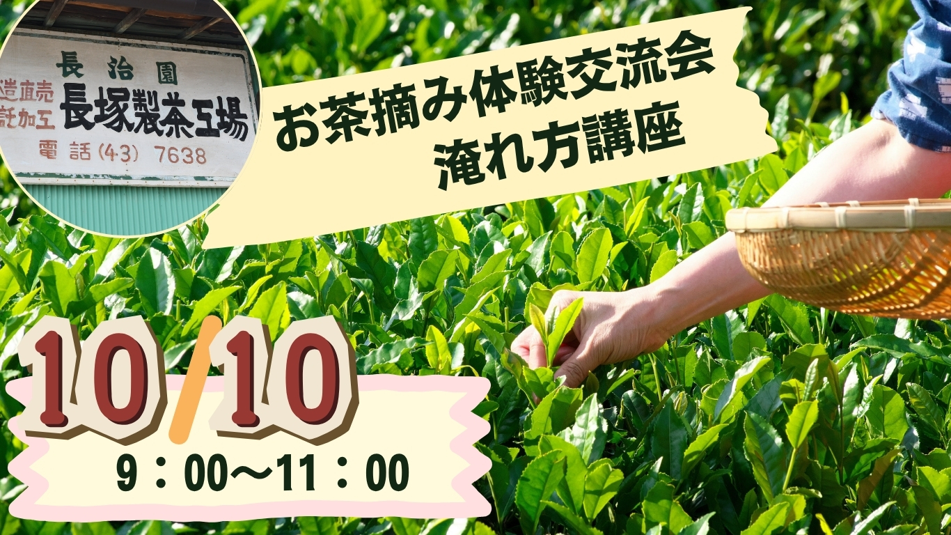 長治園　お茶摘み体験交流会・淹れ方講座のお知らせ　　　　　　　　　2026年10月10日(土)9:00～11:00（小雨決行）