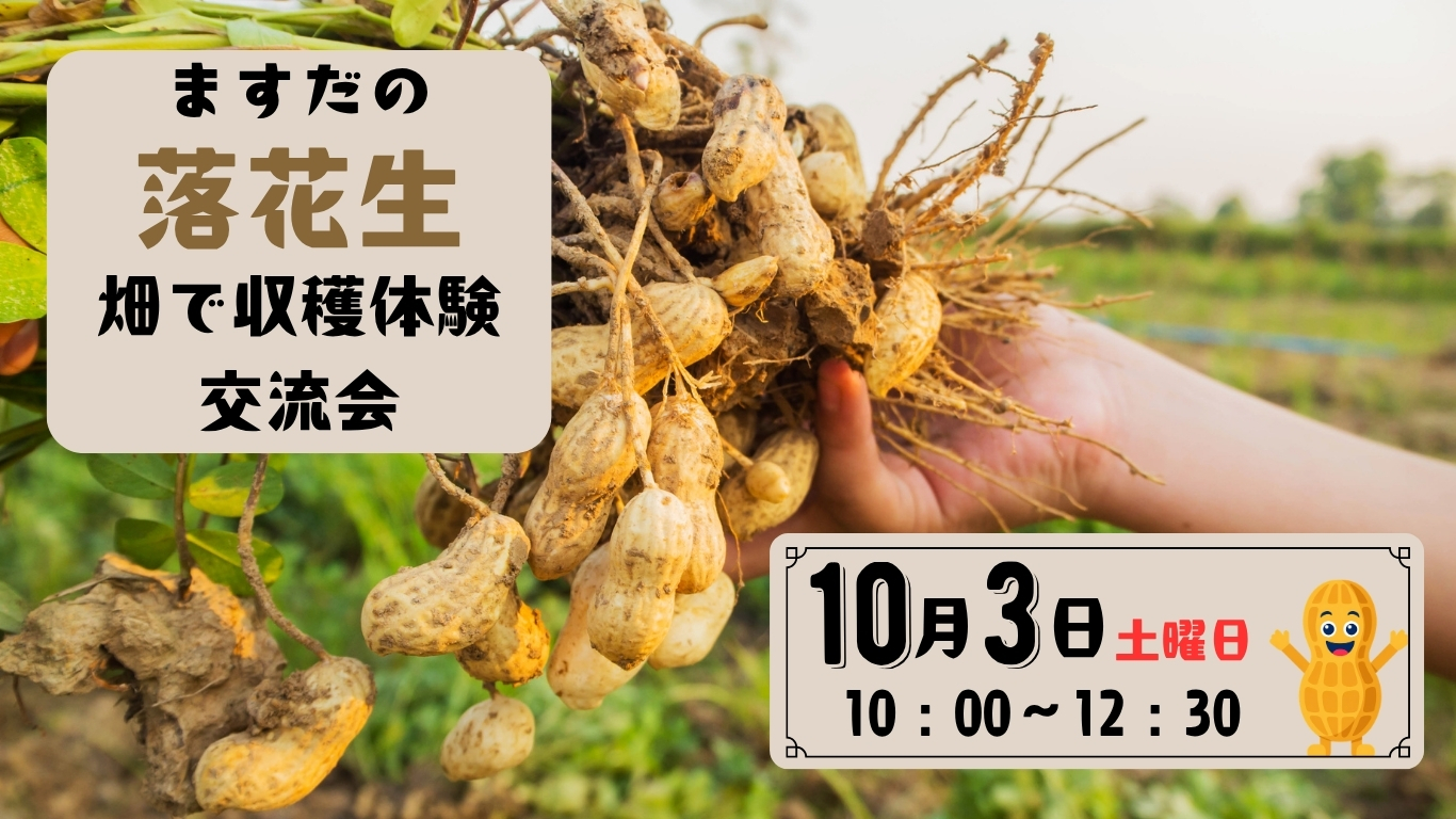 ますだの落花生　畑で収穫体験交流会のお知らせ　　　　　　　　　2026年10月3日(土)10:00～12:30（小雨決行）