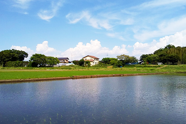 どんぐりてい 全景
