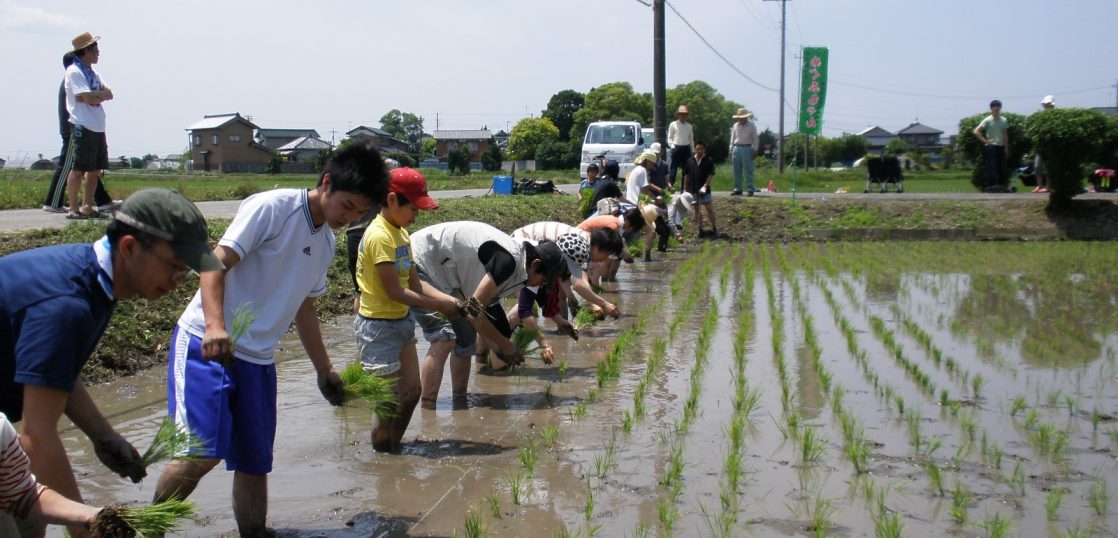 米・雑穀