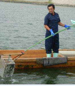 伝統のしじみ手掘り漁